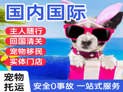巴中恩阳机场空运国际宠物托运 【国